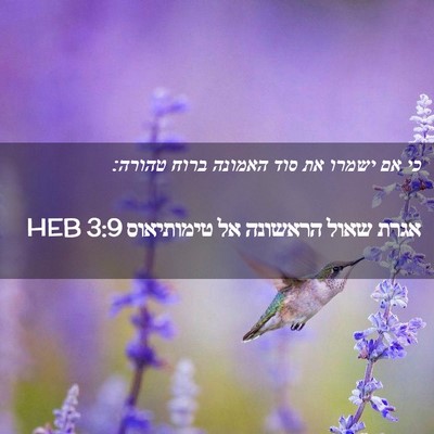 Picture 02 - אגרת שאול הראשונה אל טימותיאוס 3:9 HEB - כי אם ישמרו את סוד האמונה - Bible Verse Picture