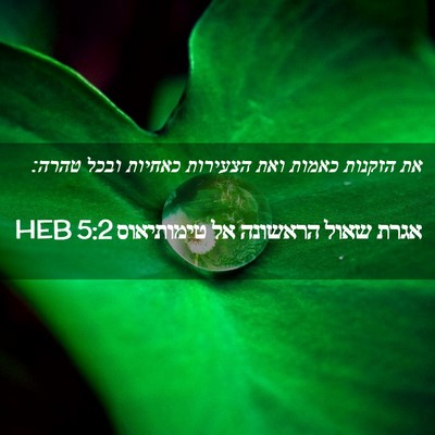 Picture 02 - אגרת שאול הראשונה אל טימותיאוס 5:2 HEB - את הזקנות כאמות ואת - Bible Verse Picture