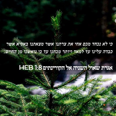 Picture 02 - אגרת שאול השניה אל הקורינתים 1:8 HEB - כי לא נכחד מכם אחי את צרתנו - Bible Verse Picture