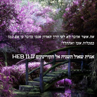 Picture 02 - אגרת שאול השניה אל הקורינתים 11:17 HEB - את אשר אדבר לא לפי דרך - Bible Verse Picture
