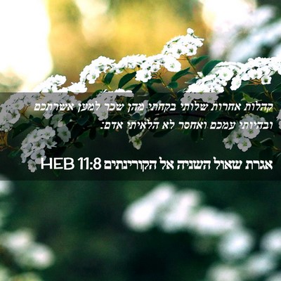 Picture 02 - אגרת שאול השניה אל הקורינתים 11:8 HEB - קהלות אחרות שלותי בקחתי - Bible Verse Picture