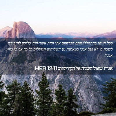 Picture 02 - אגרת שאול השניה אל הקורינתים 12:11 HEB - סכל הייתי בהתהללי אתם - Bible Verse Picture