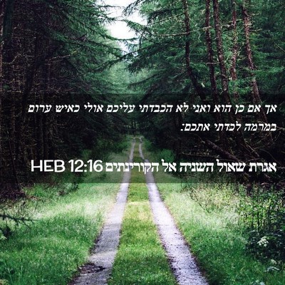 Picture 02 - אגרת שאול השניה אל הקורינתים 12:16 HEB - אך אם כן הוא ואני לא הכבדתי - Bible Verse Picture