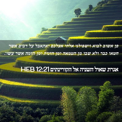 Picture 02 - אגרת שאול השניה אל הקורינתים 12:21 HEB - פן אשוב לבוא וישפילני אלהי - Bible Verse Picture