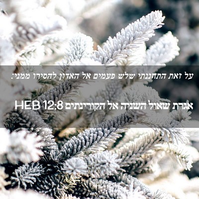Picture 02 - אגרת שאול השניה אל הקורינתים 12:8 HEB - על זאת התחננתי שלש פעמים אל - Bible Verse Picture