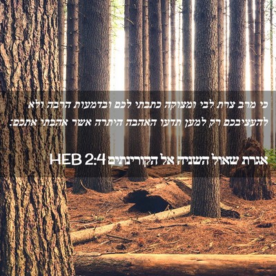 Picture 02 - אגרת שאול השניה אל הקורינתים 2:4 HEB - כי מרב צרת לבי ומצוקה כתבתי - Bible Verse Picture