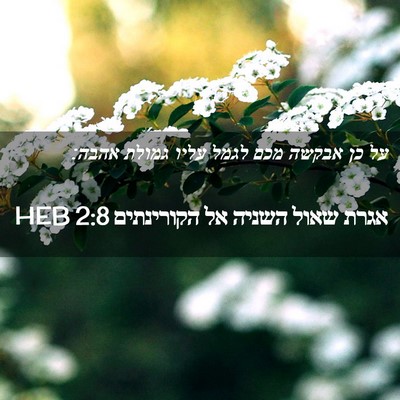 Picture 02 - אגרת שאול השניה אל הקורינתים 2:8 HEB - על כן אבקשה מכם לגמל עליו - Bible Verse Picture