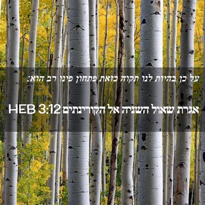 Picture 02 - אגרת שאול השניה אל הקורינתים 3:12 HEB - על כן בהיות לנו תקוה כזאת - Bible Verse Picture