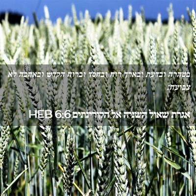Picture 02 - אגרת שאול השניה אל הקורינתים 6:6 HEB - בטהרה ובדעת ובארך רוח - Bible Verse Picture