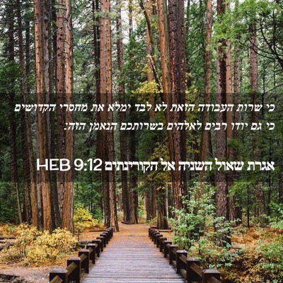 Picture 02 - אגרת שאול השניה אל הקורינתים 9:12 HEB - כי שרות העבודה הזאת לא לבד - Bible Verse Picture