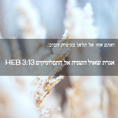 Picture 02 - אגרת שאול השניה אל התסלוניקים 3:13 HEB - ואתם אחי אל תלאו בעשות - Bible Verse Picture