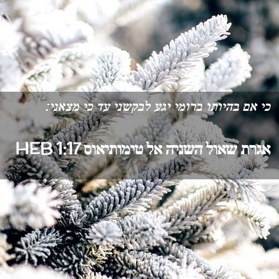 Picture 02 - אגרת שאול השניה אל טימותיאוס 1:17 HEB - כי אם בהיותו ברומי יגע - Bible Verse Picture