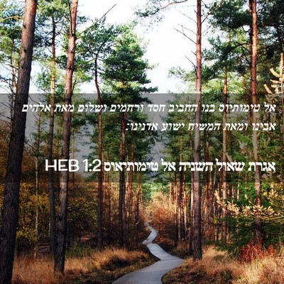 Picture 02 - אגרת שאול השניה אל טימותיאוס 1:2 HEB - אל טימותיוס בנו החביב חסד - Bible Verse Picture