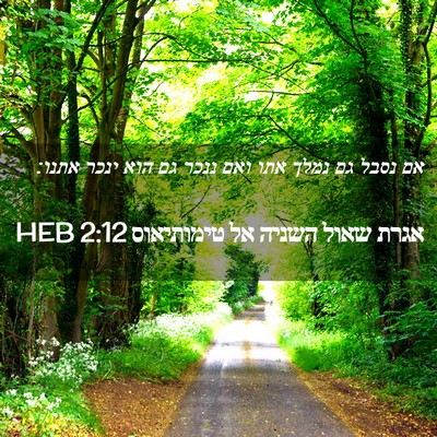 Picture 02 - אגרת שאול השניה אל טימותיאוס 2:12 HEB - אם נסבל גם נמלך אתו ואם - Bible Verse Picture