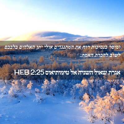 Picture 02 - אגרת שאול השניה אל טימותיאוס 2:25 HEB - ומיסר בנמיכות רוח את - Bible Verse Picture