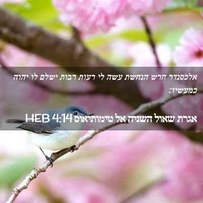 Picture 02 - אגרת שאול השניה אל טימותיאוס 4:14 HEB - אלכסנדר חרש הנחשת עשה לי - Bible Verse Picture