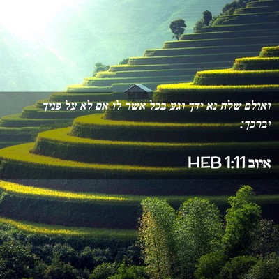 Picture 02 - איוב 1:11 HEB - ואולם שלח נא ידך וגע בכל - Bible Verse Picture