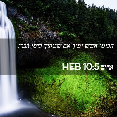 Picture 02 - איוב 10:5 HEB - הכימי אנוש ימיך אם שנותיך - Bible Verse Picture