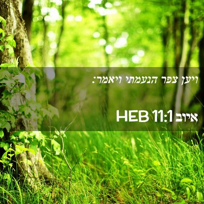 Picture 02 - איוב 11:1 HEB - ויען צפר הנעמתי - Bible Verse Picture