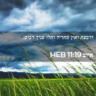 Picture 02 - איוב 11:19 HEB - ורבצת ואין מחריד וחלו פניך - Bible Verse Picture