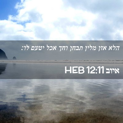 Picture 02 - איוב 12:11 HEB - הלא אזן מלין תבחן וחך אכל - Bible Verse Picture