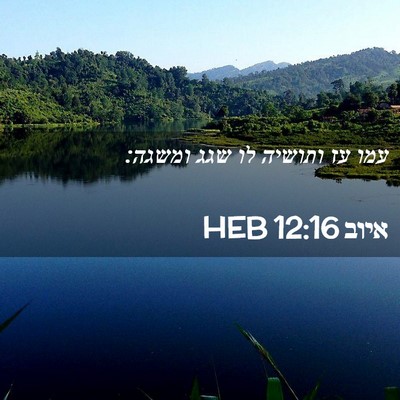 Picture 02 - איוב 12:16 HEB - עמו עז ותושיה לו שגג - Bible Verse Picture