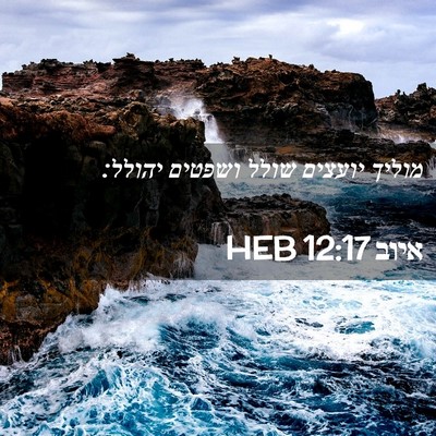 Picture 02 - איוב 12:17 HEB - מוליך יועצים שולל ושפטים - Bible Verse Picture