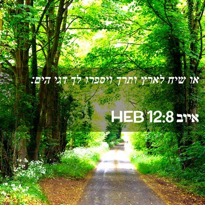 Picture 02 - איוב 12:8 HEB - או שיח לארץ ותרך ויספרו לך - Bible Verse Picture