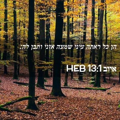 Picture 02 - איוב 13:1 HEB - הן כל ראתה עיני שמעה אזני - Bible Verse Picture