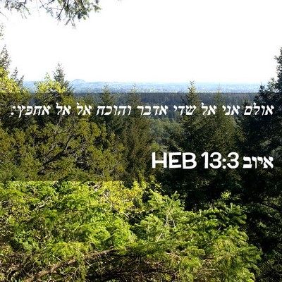Picture 02 - איוב 13:3 HEB - אולם אני אל שדי אדבר והוכח - Bible Verse Picture