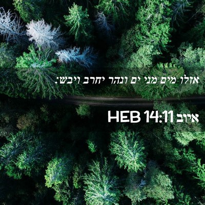 Picture 02 - איוב 14:11 HEB - אזלו מים מני ים ונהר יחרב - Bible Verse Picture