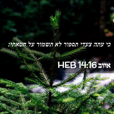 Picture 02 - איוב 14:16 HEB - כי עתה צעדי תספור לא תשמור - Bible Verse Picture