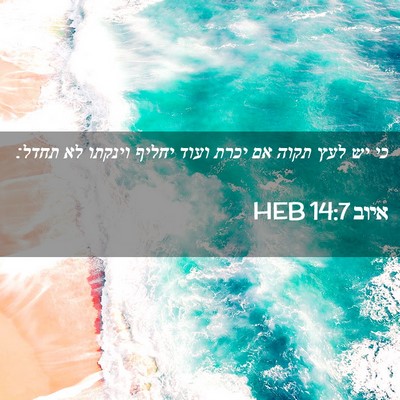Picture 02 - איוב 14:7 HEB - כי יש לעץ תקוה אם יכרת ועוד - Bible Verse Picture