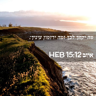 Picture 02 - איוב 15:12 HEB - מה יקחך לבך ומה ירזמון - Bible Verse Picture