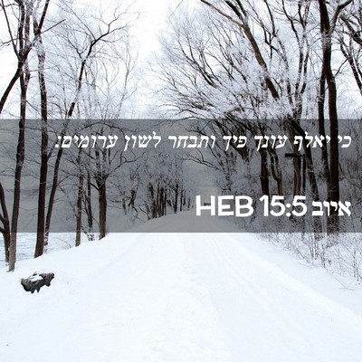 Picture 02 - איוב 15:5 HEB - כי יאלף עונך פיך ותבחר לשון - Bible Verse Picture