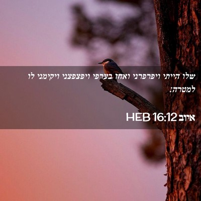 Picture 02 - איוב 16:12 HEB - שלו הייתי ויפרפרני ואחז - Bible Verse Picture
