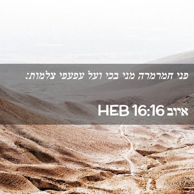 Picture 02 - איוב 16:16 HEB - פני חמרמרה מני בכי ועל - Bible Verse Picture