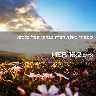 Picture 02 - איוב 16:2 HEB - שמעתי כאלה רבות מנחמי עמל - Bible Verse Picture