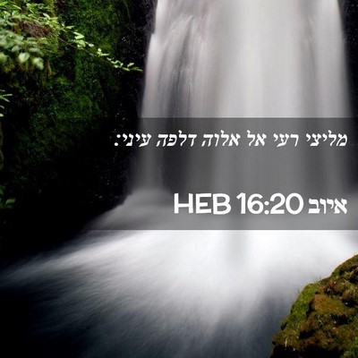 Picture 02 - איוב 16:20 HEB - מליצי רעי אל אלוה דלפה - Bible Verse Picture