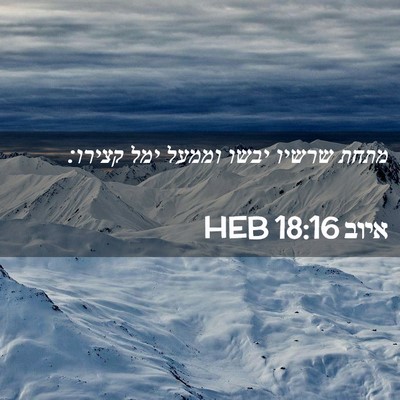 Picture 02 - איוב 18:16 HEB - מתחת שרשיו יבשו וממעל ימל - Bible Verse Picture