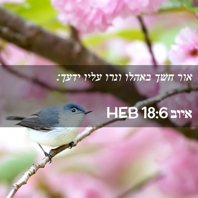 Picture 02 - איוב 18:6 HEB - אור חשך באהלו ונרו עליו - Bible Verse Picture
