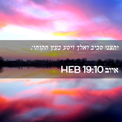 Picture 02 - איוב 19:10 HEB - יתצני סביב ואלך ויסע כעץ - Bible Verse Picture