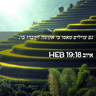 Picture 02 - איוב 19:18 HEB - גם עוילים מאסו בי אקומה - Bible Verse Picture