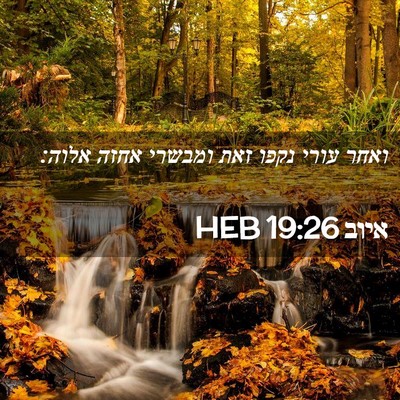 Picture 02 - איוב 19:26 HEB - ואחר עורי נקפו זאת ומבשרי - Bible Verse Picture