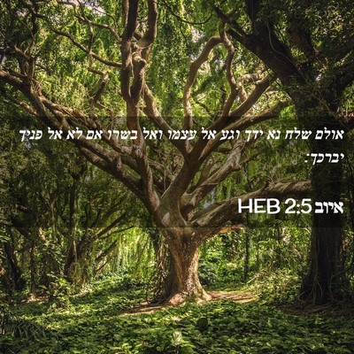 Picture 02 - איוב 2:5 HEB - אולם שלח נא ידך וגע אל עצמו - Bible Verse Picture