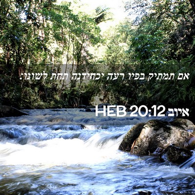 Picture 02 - איוב 20:12 HEB - אם תמתיק בפיו רעה יכחידנה - Bible Verse Picture