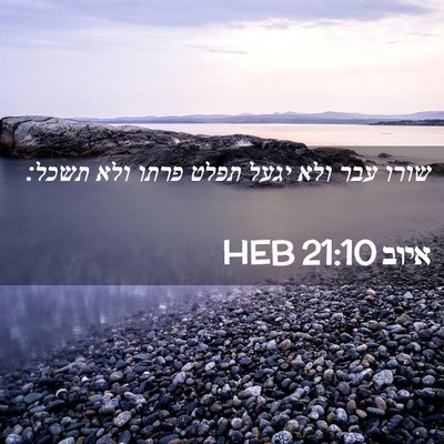 Picture 02 - איוב 21:10 HEB - שורו עבר ולא יגעל תפלט פרתו - Bible Verse Picture