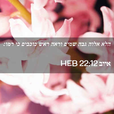 Picture 02 - איוב 22:12 HEB - הלא אלוה גבה שמים וראה ראש - Bible Verse Picture