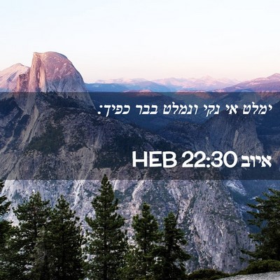 Picture 02 - איוב 22:30 HEB - ימלט אי נקי ונמלט בבר - Bible Verse Picture