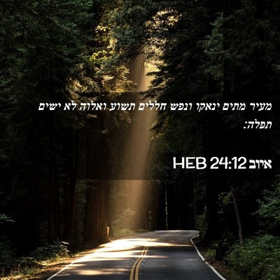 Picture 02 - איוב 24:12 HEB - מעיר מתים ינאקו ונפש חללים - Bible Verse Picture